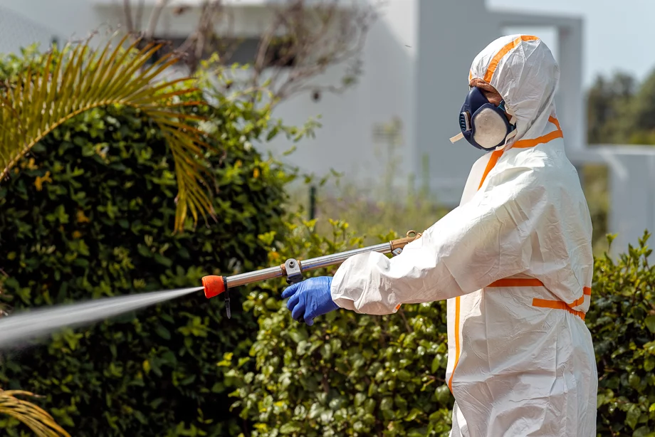 photography-marbella-11-of-36 Business portrait, business, b2b, corporate, portrait, photoshoot, beach, photoshoot, Fashion, Marbella, Costa del Sol, photography, photographer, Marbella, Malaga, Michael Brik Photography, photography workshop