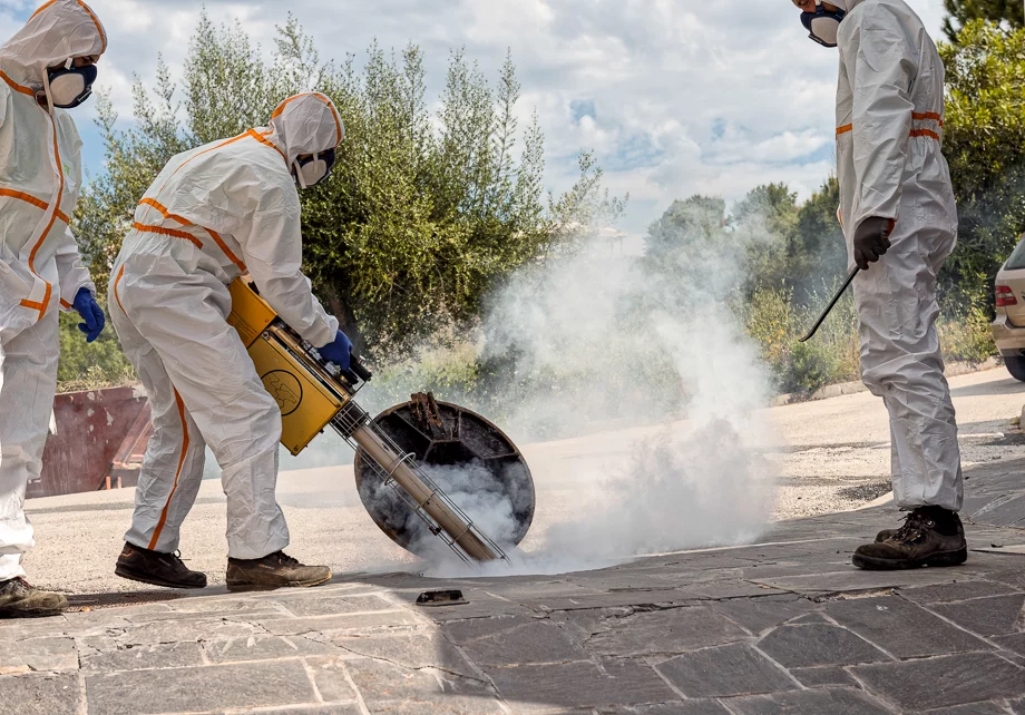 photography-marbella-18-of-36 Business portrait, business, b2b, corporate, portrait, photoshoot, beach, photoshoot, Fashion, Marbella, Costa del Sol, photography, photographer, Marbella, Malaga, Michael Brik Photography, photography workshop